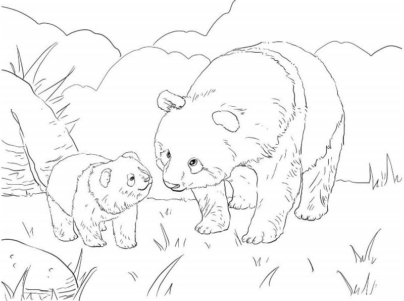 Tổng hợp Hình Vẽ Gấu Trúc Cute giá rẻ bán chạy tháng 52023  BeeCost