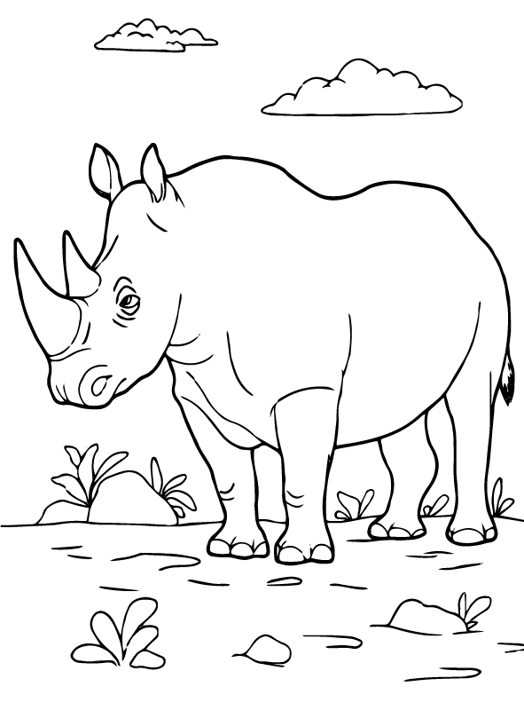 Khắc Bản Vẽ Minh Họa Tê Giác Hình minh họa Sẵn có  Tải xuống Hình ảnh Ngay  bây giờ  Tê giác Tê giác ấn độ Động vật  iStock