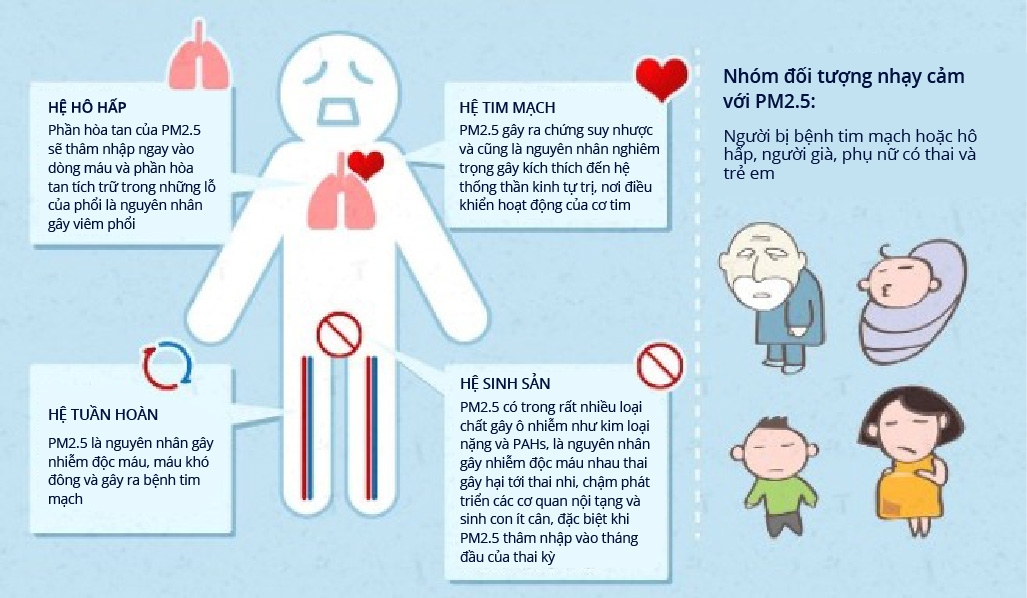 Bụi mịn PM2.5, PM10: Mối đe dọa với sức khỏe cộng đồng 5