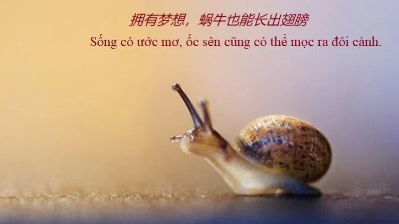 Những câu nói tiếng Trung hay về cuộc sống