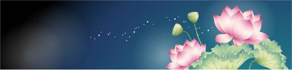 Hoa sen Vector Đẹp | Logo, Background, PNG 11
