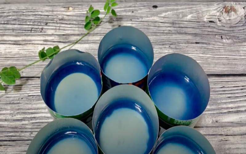 Lớp vỏ đậu biếc xanh bao bọc bên ngoài và nhân trứng sữa ở giữa