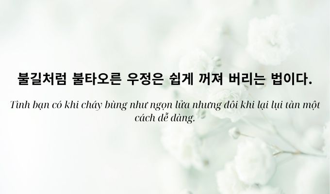 Những câu nói hay về tình bạn bằng tiếng Hàn